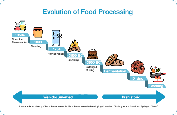 Overview of common food processing methods including freezing, canning, drying, and fermentation