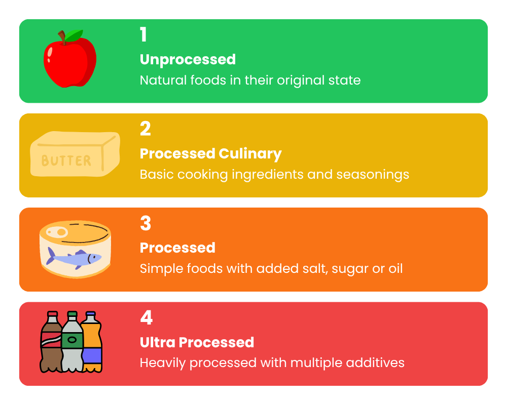 NOVA Classification System